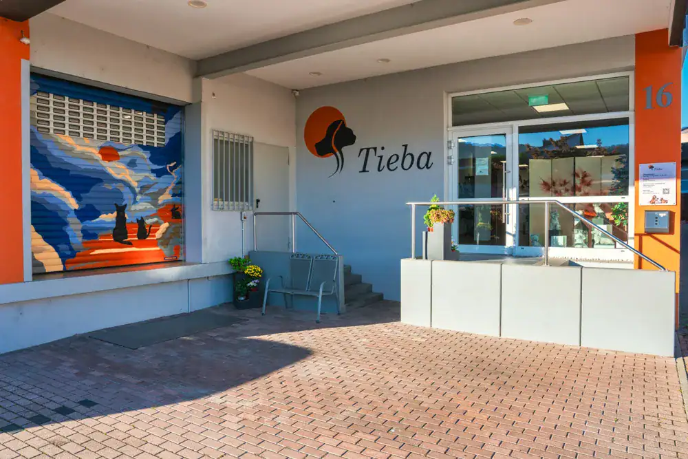 Überdachter Eingang des Tieba Tierkrematoriums in Korb mit Wandbild und Rampe