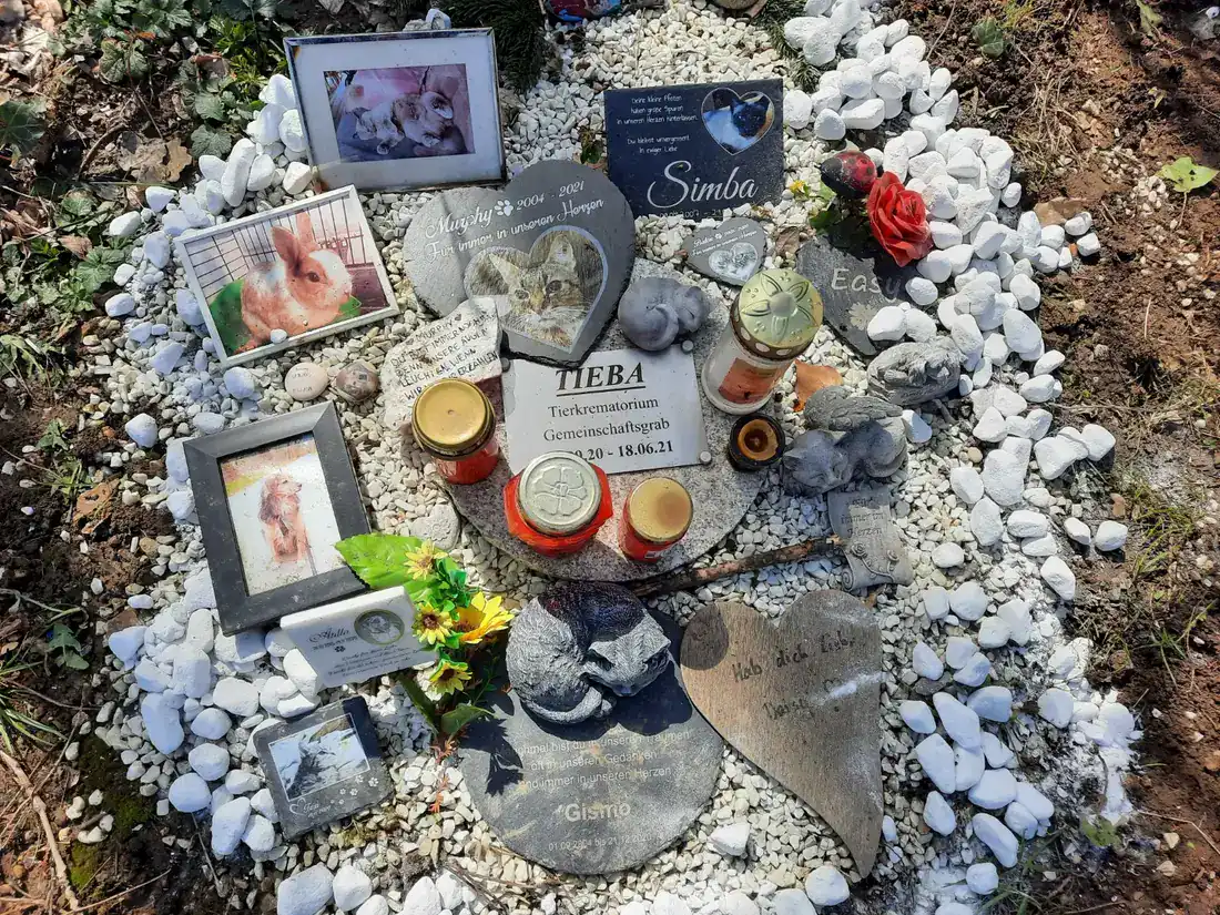 Gemeinschaftsgrab auf dem Tierfriedhof Stuttgart mit Gedenksteinen, gerahmten Tierfotos, Grablichtern und hellen Kieselsteinen