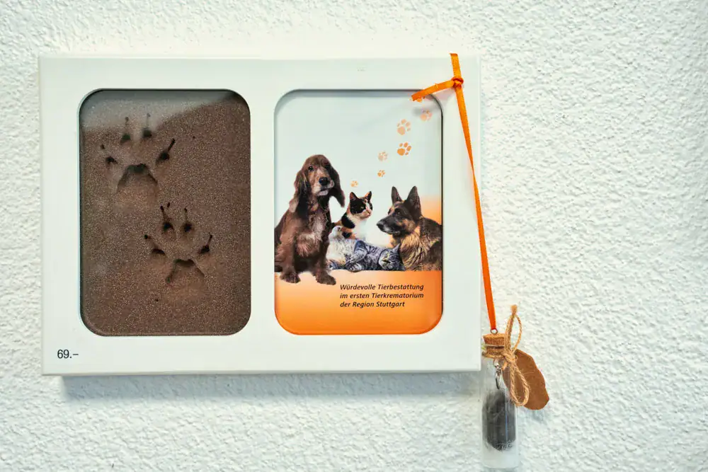 Gerahmter Pfotenabdruck in Schaummasse an der Wand in der Ausstellung
